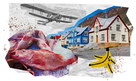 02 Tappe Viaggio MOBILE Islanda Trekking